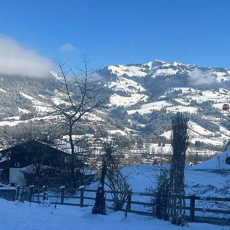Haus Fini - In Out