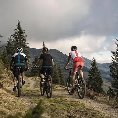 Appartamento Haus Fini - In Out Kitzbühel