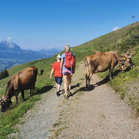 Daire Haus Fini - In Out