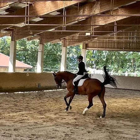 Lejlighed Haus Fini - In Out